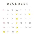 2025年12月のカレンダー/定休日